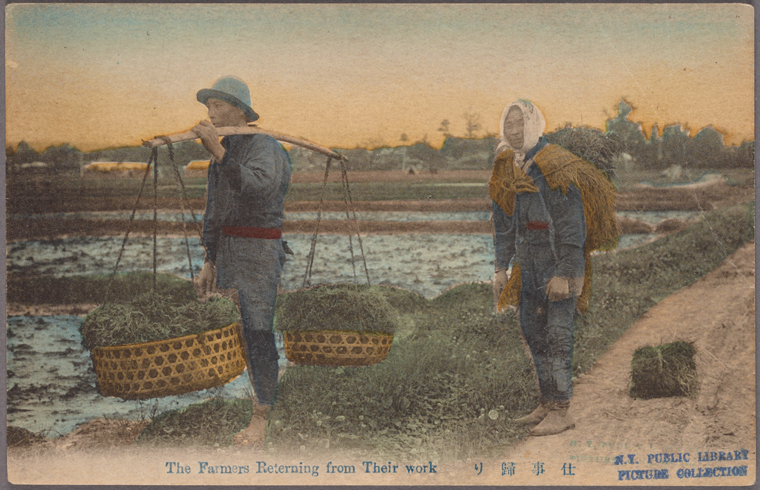 japanese farmers returning home