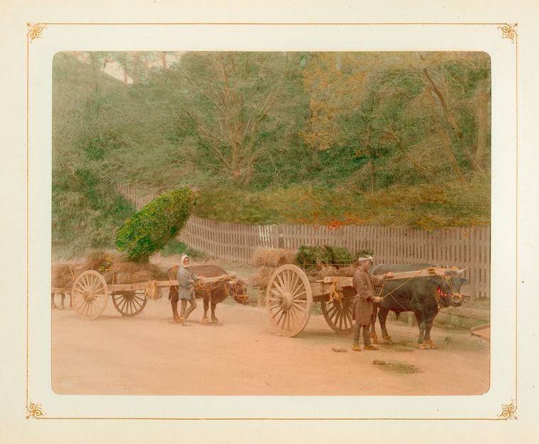 japanese farmers with their oxcarts