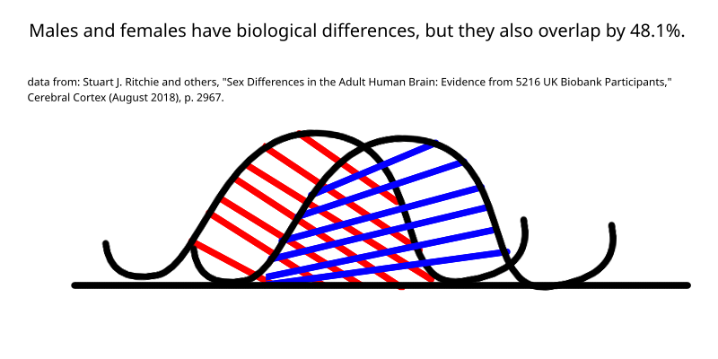 overlap of male and female brain structures