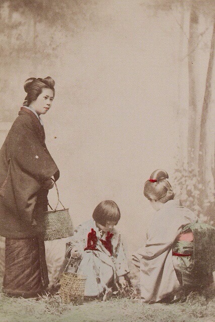 A Summer Day In The Woods