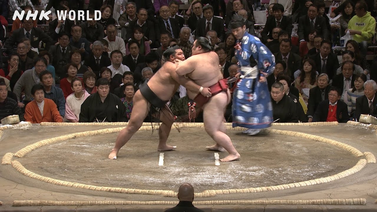 sumo wrestling