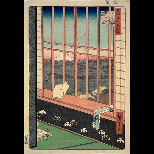 Japanese woodblock print with an angry cat.
