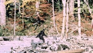 Is Bigfoot a Yokai?