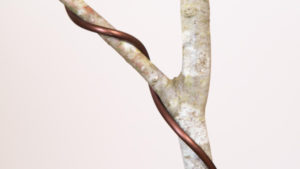 What I've Learned from (Killing) Bonsai Trees Example of wiring a bonsai branch