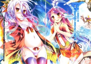 Considering Japanese Incest, Cultural Obsession, and the Book The Six-Foot Bonsai no-game-no-life-swimsuit