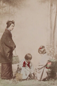 A Summer Day In The Woods 